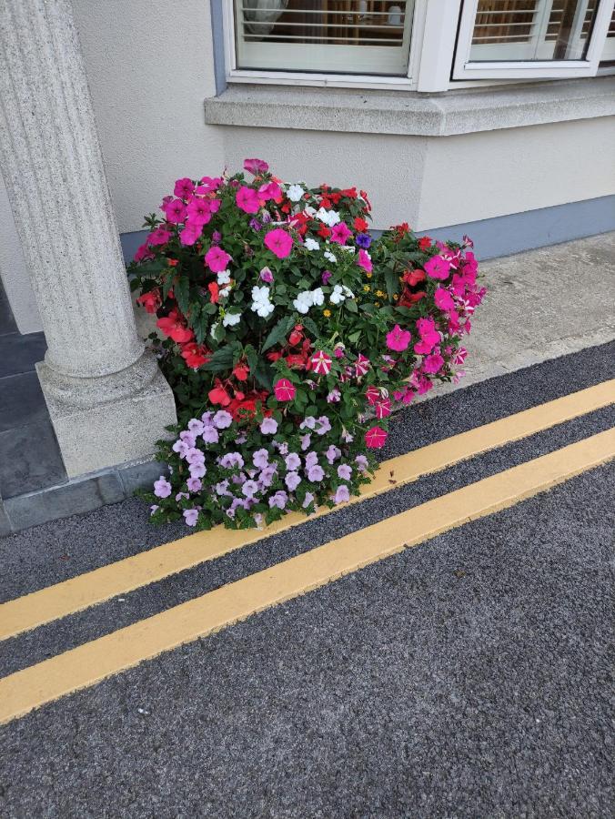 Ma Dwyer's Guest Guest house 3*